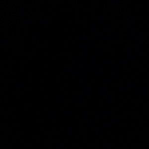 Meet your Posher, Sadie